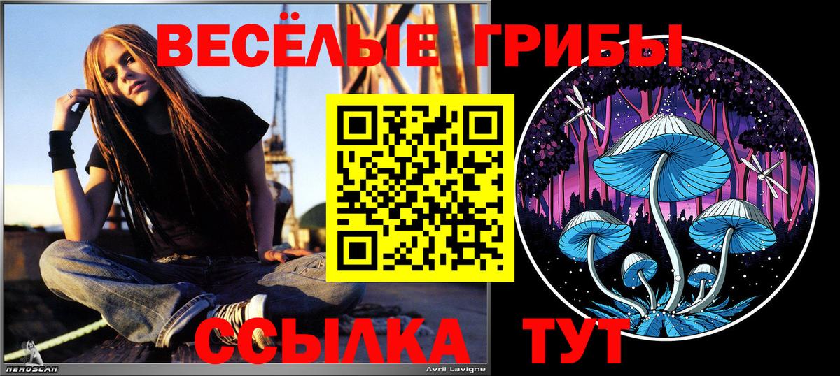Галлюциногенные грибы MAGIC MUSHROOMS Ипатово